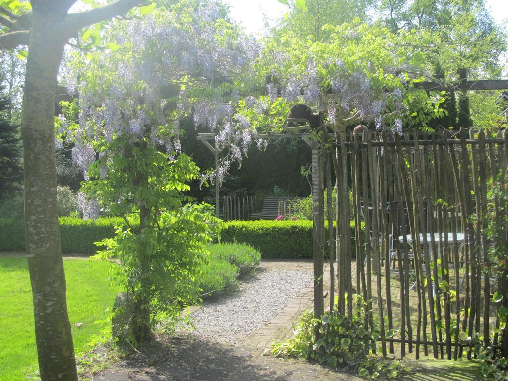 Roing B&B Hijken Exterior photo